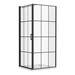 Arezzo 800 x 800 Matt Black Grid Frameless Pivot Door Shower Enclosure + Tray profile small image view 6 