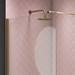 Arezzo 1700 x 800 Brushed Brass Wet Room (inc. Screen + Tray) profile small image view 4 