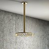 Arezzo Brushed Brass 195mm Thin Round Shower Head + 300mm Ceiling Mounted Arm profile small image view 1 