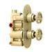 Arezzo Brushed Brass Industrial Style Round Modern Twin Concealed Shower Valve profile small image view 6 