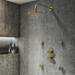 Arezzo Brushed Brass Industrial Style Round Modern Twin Concealed Shower Valve with Diverter profile small image view 5 