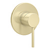 Arezzo Brushed Brass Round Concealed Manual Shower Valve profile small image view 1 