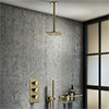Arezzo Brushed Brass Round Thermostatic Shower Pack with Ceiling Mounted Head + Handset profile small image view 1 