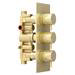 Arezzo Brushed Brass Round Thermostatic Shower Pack with Ceiling Mounted Head + Handset profile small image view 6 