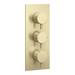 Arezzo Brushed Brass Round Thermostatic Shower Pack with Wall Mounted Head + Handset profile small image view 4 