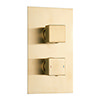Arezzo Square Modern Twin Concealed Shower Valve with Diverter - Brushed Brass profile small image view 1 