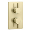 Arezzo Brushed Brass Round Modern Twin Concealed Shower Valve profile small image view 1 