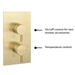 Arezzo Brushed Brass Round Modern Twin Concealed Shower Valve with Diverter profile small image view 5 
