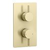 Arezzo Brushed Brass Round Modern Twin Concealed Shower Valve with Diverter profile small image view 1 