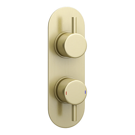 Arezzo Brushed Brass Round Twin Concealed Shower Valve w. Diverter + Oval Faceplate