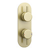 Arezzo Brushed Brass Round Twin Concealed Shower Valve w. Diverter + Oval Faceplate profile small image view 1 