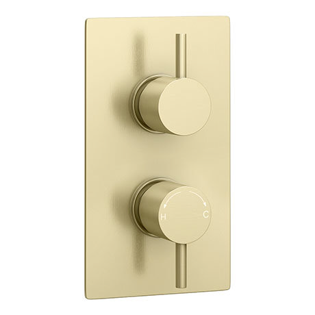 Arezzo Brushed Brass Round Modern Twin Concealed Shower Valve With 