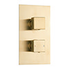 Arezzo Brushed Brass Square Modern Twin Concealed Shower Valve profile small image view 1 