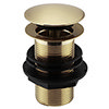 Arezzo Brushed Brass Unslotted Click Clack Basin Waste profile small image view 1 