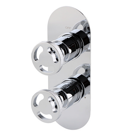 Arezzo Chrome Industrial Style Round Modern Twin Concealed Shower Valve