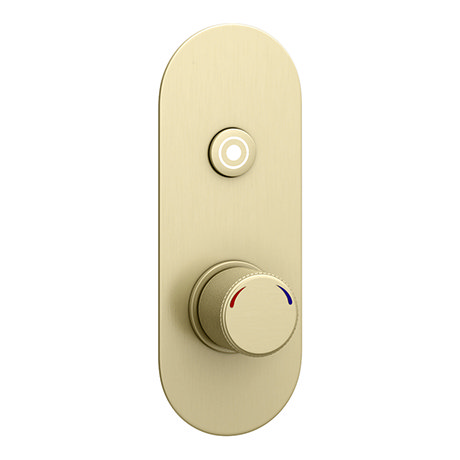 Arezzo Brushed Brass Industrial Style 1-Touch Shower Valve (1 Outlet)