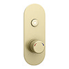 Arezzo Brushed Brass Industrial Style Push Button Shower Valve (1 Outlet) profile small image view 1 