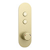 Arezzo Brushed Brass Industrial Style Push Button Shower Valve (2 Outlets) profile small image view 1 