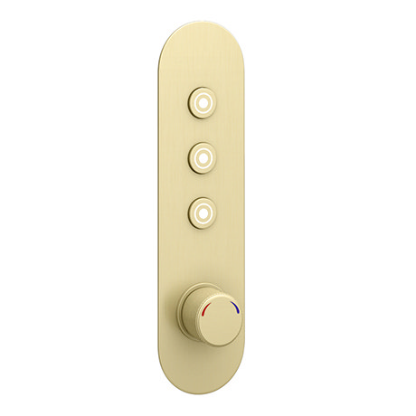 Arezzo Brushed Brass Industrial Style Push Button Shower Valve (3 Outlets)