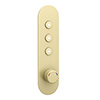 Arezzo Brushed Brass Industrial Style Push Button Shower Valve (3 Outlets) profile small image view 1 