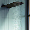 Arezzo Black Round Flat Fixed Shower Head (200 x 480mm) profile small image view 1 