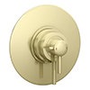 Arezzo Brushed Brass Round Concealed Dual Thermostatic Shower Valve profile small image view 1 