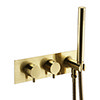 Arezzo Brushed Brass Round Wall Mounted Thermostatic Shower Valve with Handset profile small image view 1 