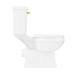Arezzo Traditional Toilet with Brushed Brass Lever profile small image view 6 