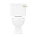 Arezzo Traditional Toilet with Brushed Brass Lever profile small image view 7 