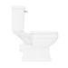 Arezzo Traditional Toilet with Chrome + Matt Black Lever profile small image view 4 