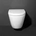 Dual Flush Concealed WC Cistern with Wall Hung Frame + Arezzo Toilet profile small image view 2 