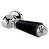 Bayswater Black Ceramic WC Lever Handle profile small image view 1 