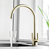 JTP Blink Brushed Brass Dual Lever Kitchen Sink Mixer profile small image view 1 