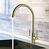 JTP Newbury Brushed Brass Dual Lever Kitchen Sink Mixer profile small image view 1 
