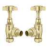 Brushed Brass Traditional Angled Radiator Valves profile small image view 1 
