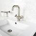 BagnoDesign Revolution Brushed Nickel Mono Basin Mixer with Pop-up Waste profile small image view 2 