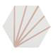 Belmont Hexagon White with Pink Lines Wall and Floor Tiles  Feature Small Image