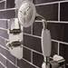 Crosswater - Belgravia Wall Mounted Shower Kit - BL964C profile small image view 2 