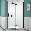 Merlyn Black Hinge & Inline Shower Door profile small image view 1 