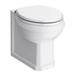 Chatsworth Traditional 500mm Blue Toilet Unit + Pan profile small image view 2 