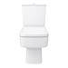 Brooklyn Modern Square Toilet with Soft Close Seat profile small image view 4 