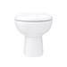 Back To Wall Toilet with Soft Close Seat + Concealed Cistern profile small image view 2 