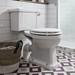 Burlington Close Coupled Traditional Toilet - Ceramic Lever Flush profile small image view 5 