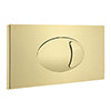 Cruze Large Push Button Plate Brushed Brass profile small image view 1 