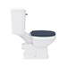 Chatsworth Traditional Blue Cloakroom Suite (Vanity Unit + Close Coupled Toilet) profile small image view 7 