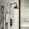 Chatsworth 1928 Antique Brass Traditional Shower w. Concealed Valve, 8" Head + Slide Rail Kit profile small image view 1 
