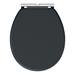 Chatsworth Traditional Graphite Complete Toilet Unit profile small image view 3 