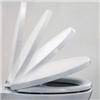 RAK Compact Soft Close Wrap Over Urea Seat profile small image view 2 