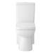 Hudson Reed Arlo Flush to Wall Toilet + Soft Close Seat profile small image view 3 
