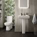 Hudson Reed Arlo Compact Flush to Wall Toilet + Soft Close Seat profile small image view 4 